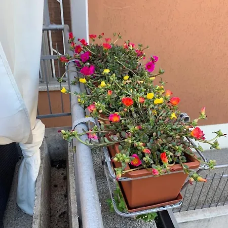 Guest house New Business And Fun G B Rossi Friendly *
