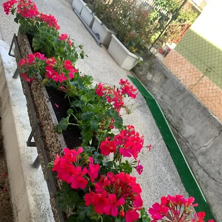 New Business And Fun Camere&monolocali Gb Rossi Friendly Гостевой дом Верона